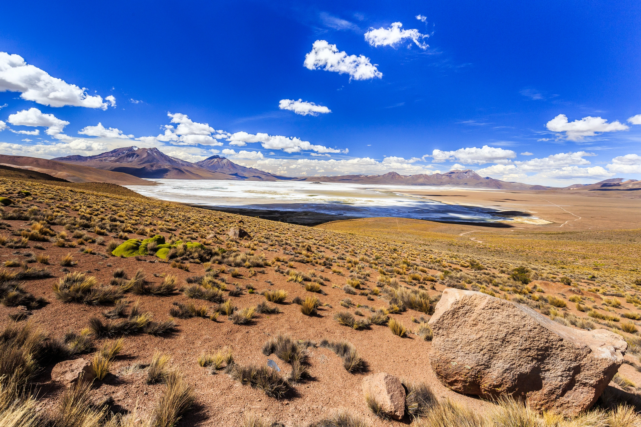 Salar de Surire en el altiplano